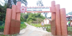 Taman Konservasi Rafflesia Lojing Highlands